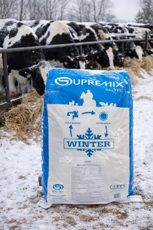 WCP 2:1 Beef Cattle Premix