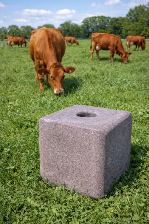 Blue Cobalt Salt Block