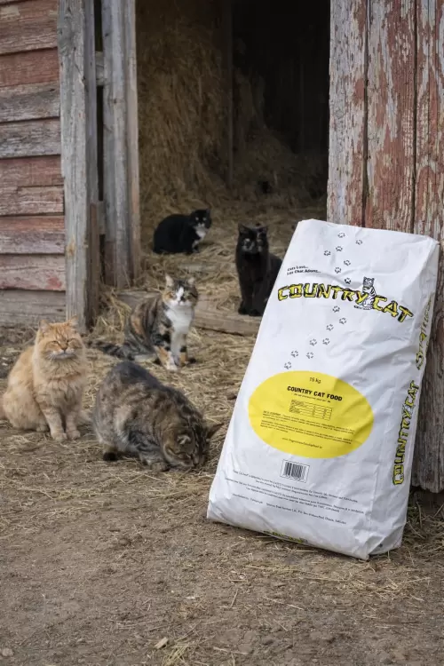Country Cat Food