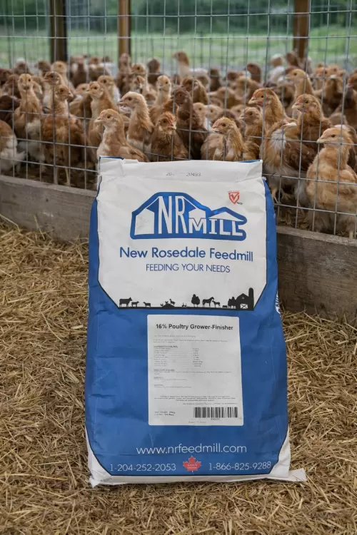 Poultry Grower–Finisher