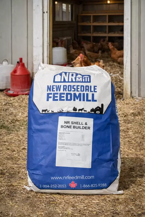 Shell & Bone Builder