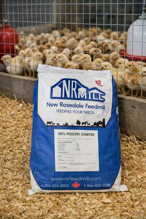 Poultry Starter