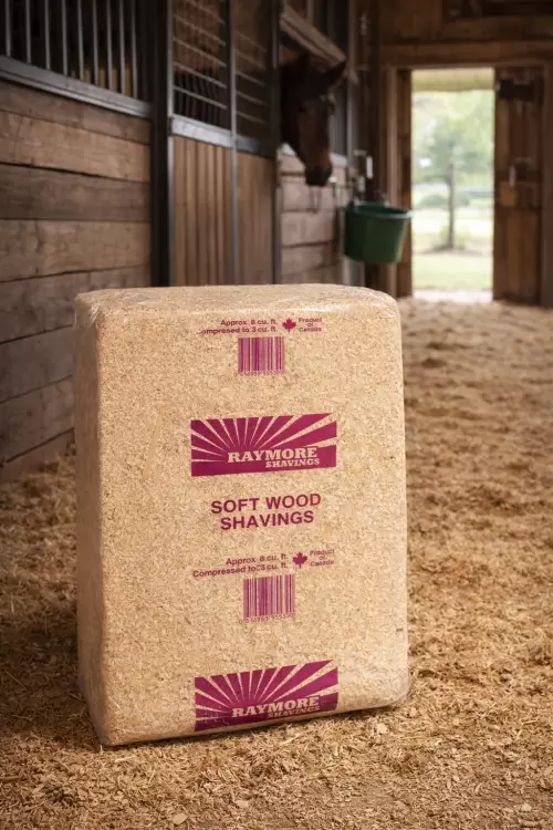 Wood Shavings